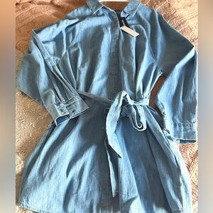 Express Portofino Shirt Dress